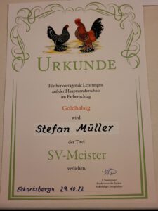 Read more about the article SV- Meister und beste Junghenne bei der Hauptschau des Sonderverein der Federfüßigen Zwerghühner